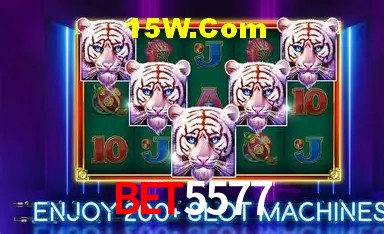 Experiência VIP Bet5577